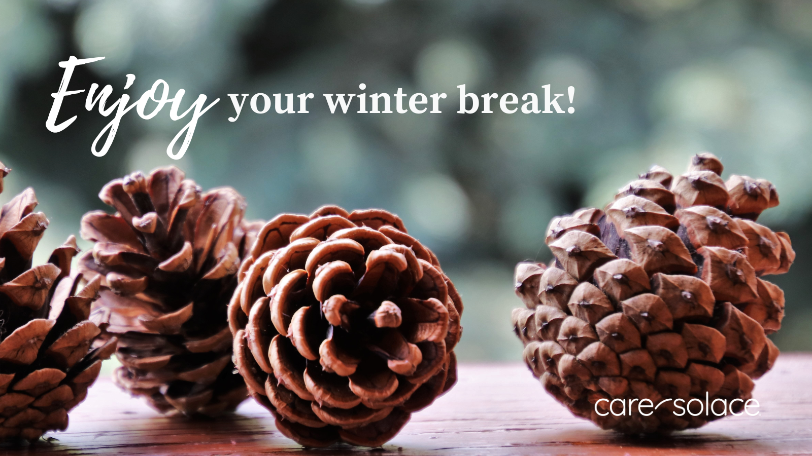 Enjoy your winter break!